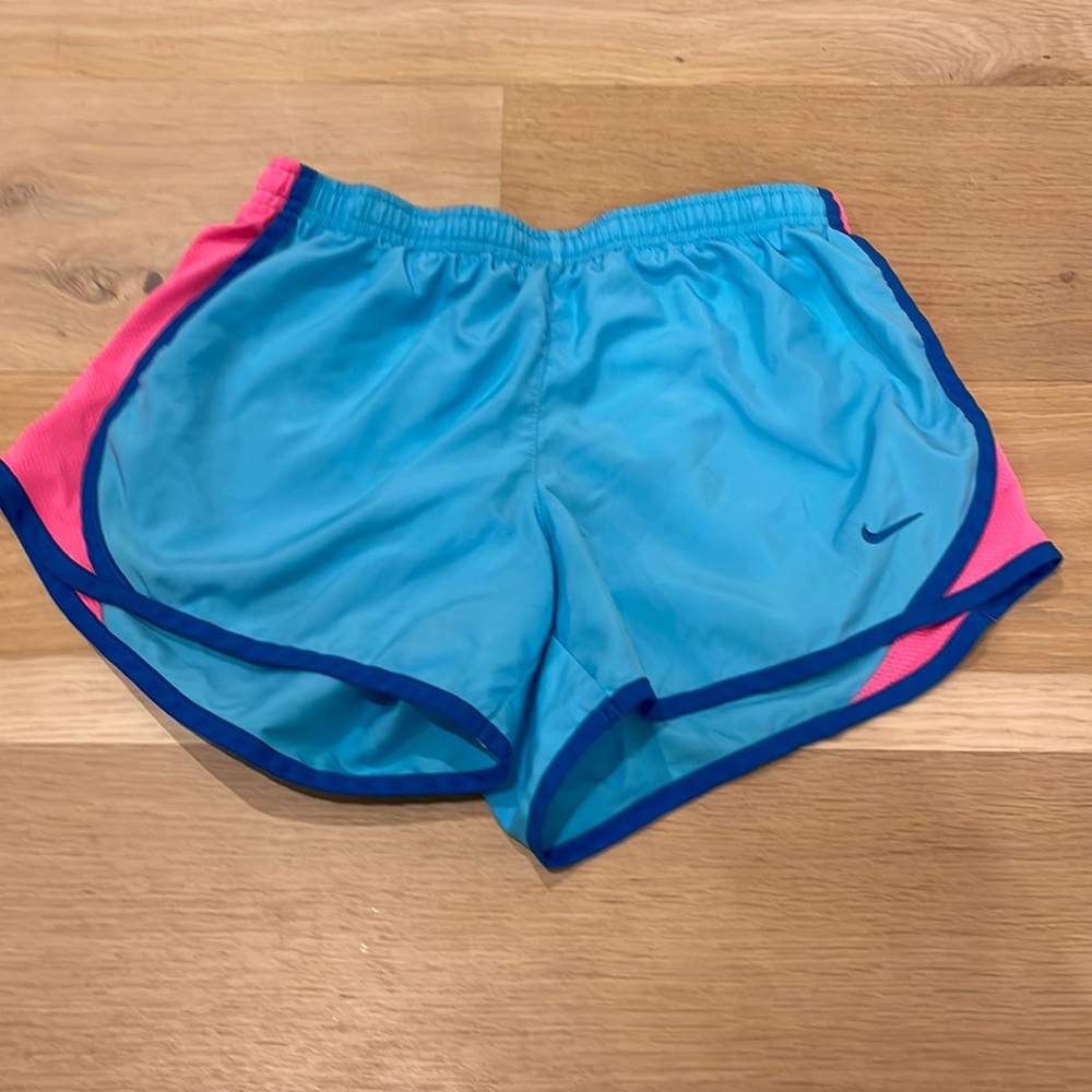 Blue and Pink Old School Nike Shorts